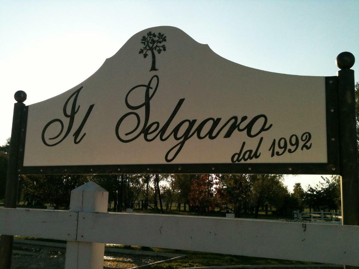 Il Selgaro Agriturismo Hotel Zelarino Exterior foto
